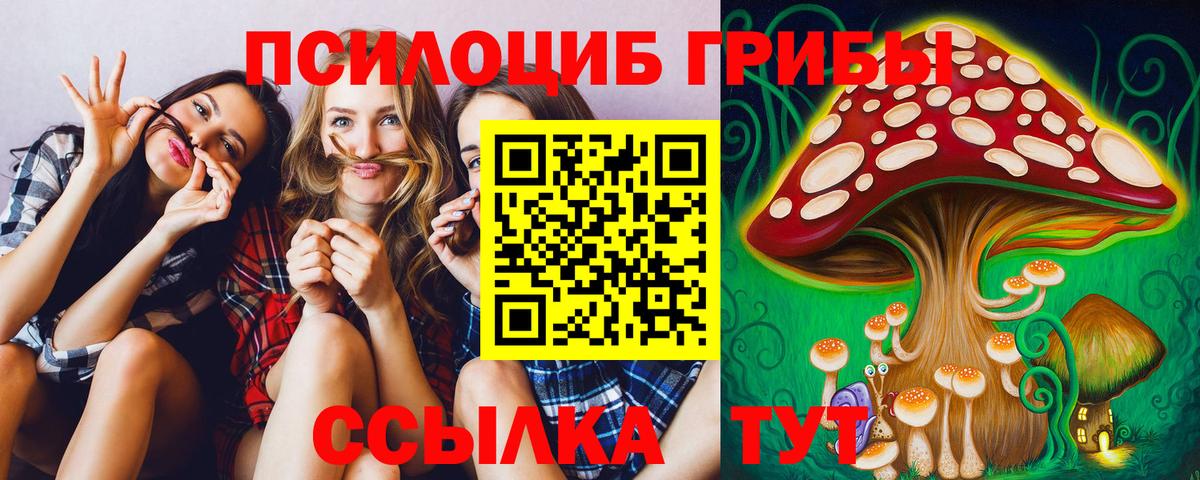 Псилоцибиновые грибы Cubensis Удомля