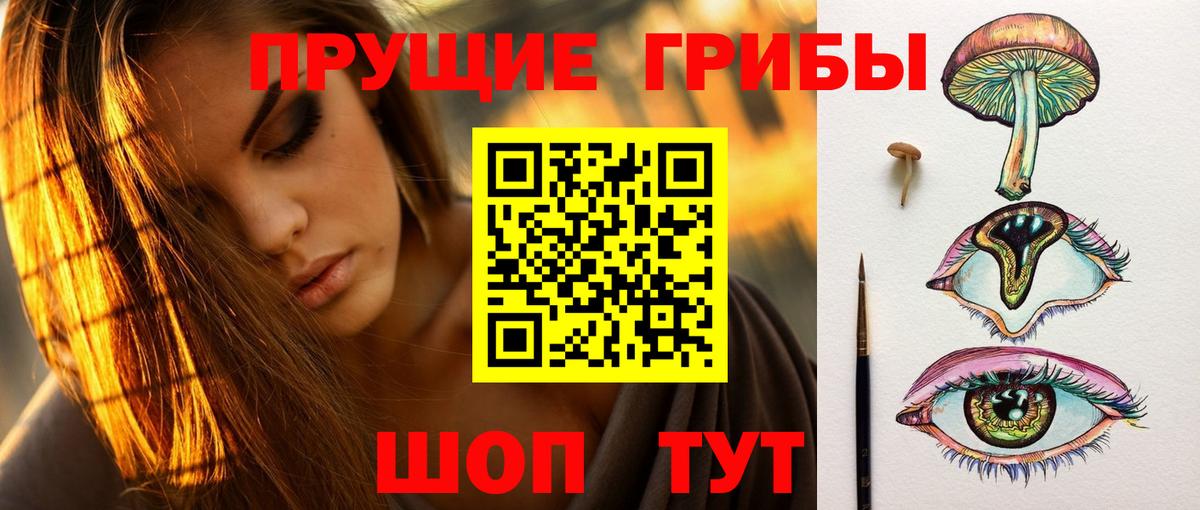Псилоцибиновые грибы ЛСД  где купить наркоту  Галлюциногенные грибы Cubensis  Удомля  Вход с VPN 